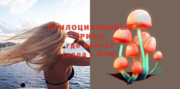 метадон Коряжма
