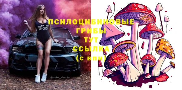 метадон Коряжма