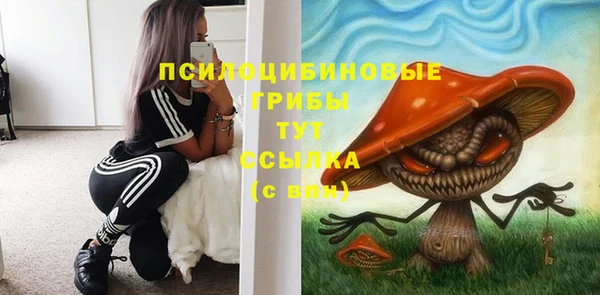 ALPHA-PVP Костерёво